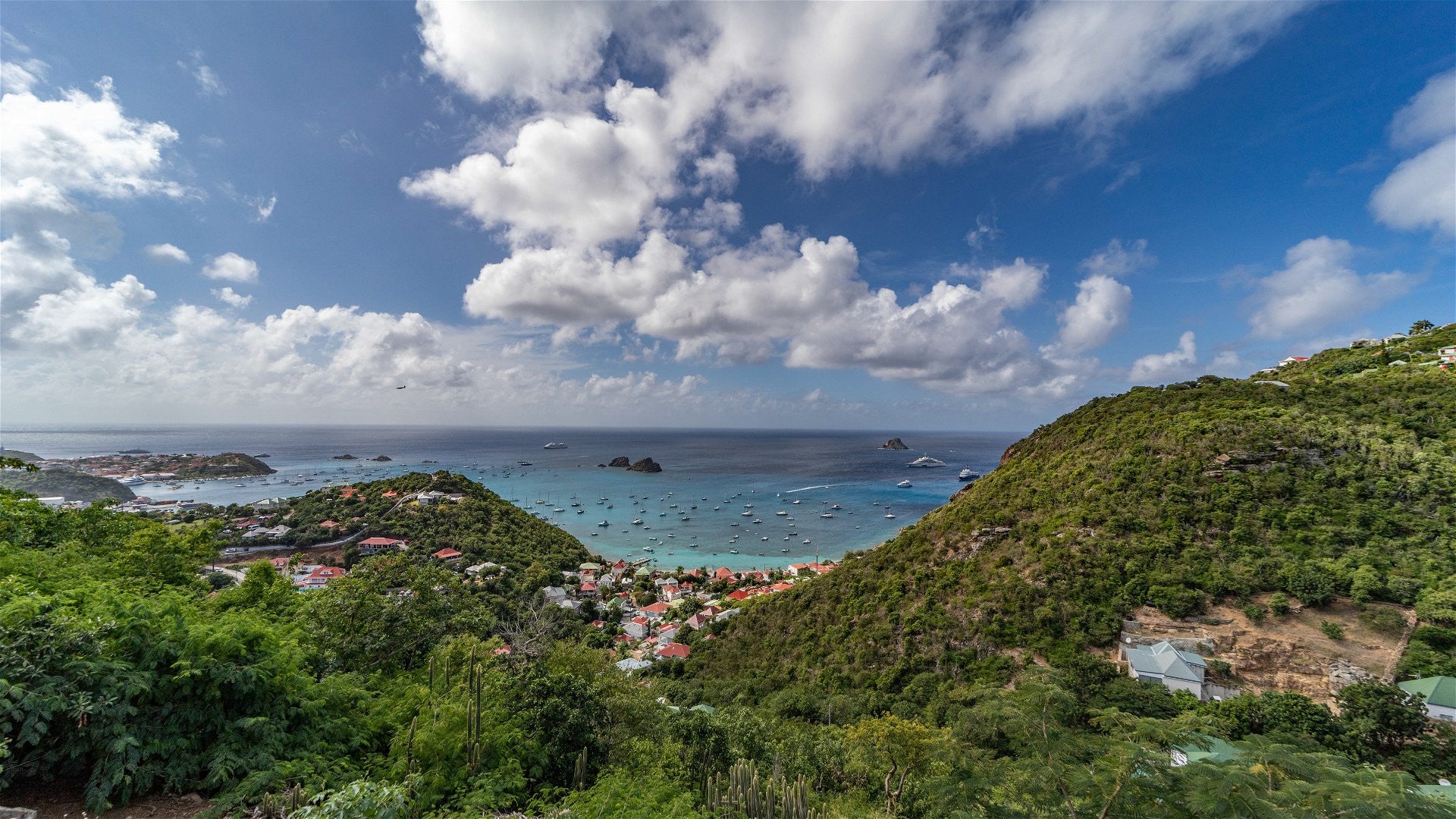 Lori's Curated Compass Digital Gift Card