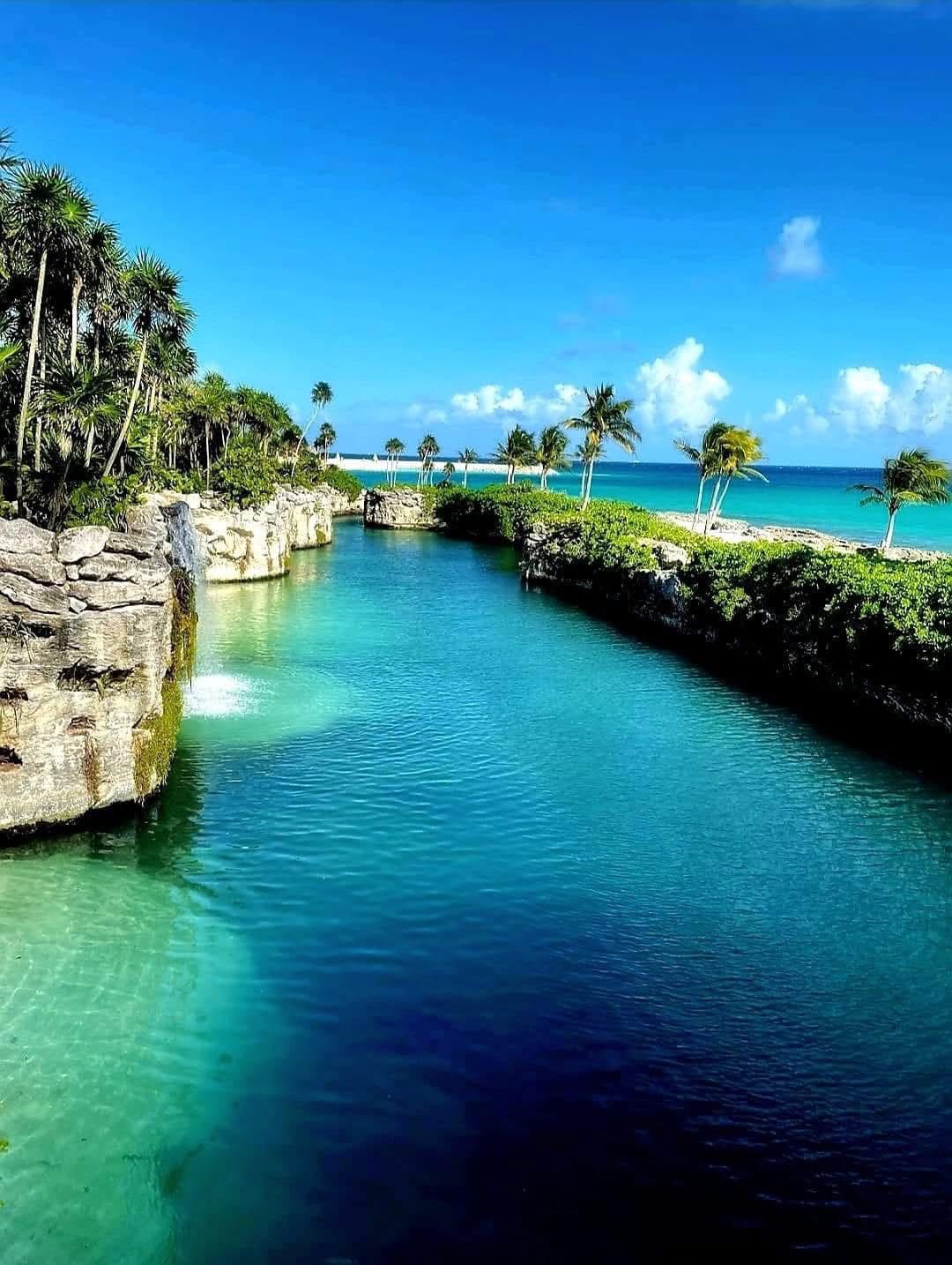 Lori's Curated Compass Digital Gift Card