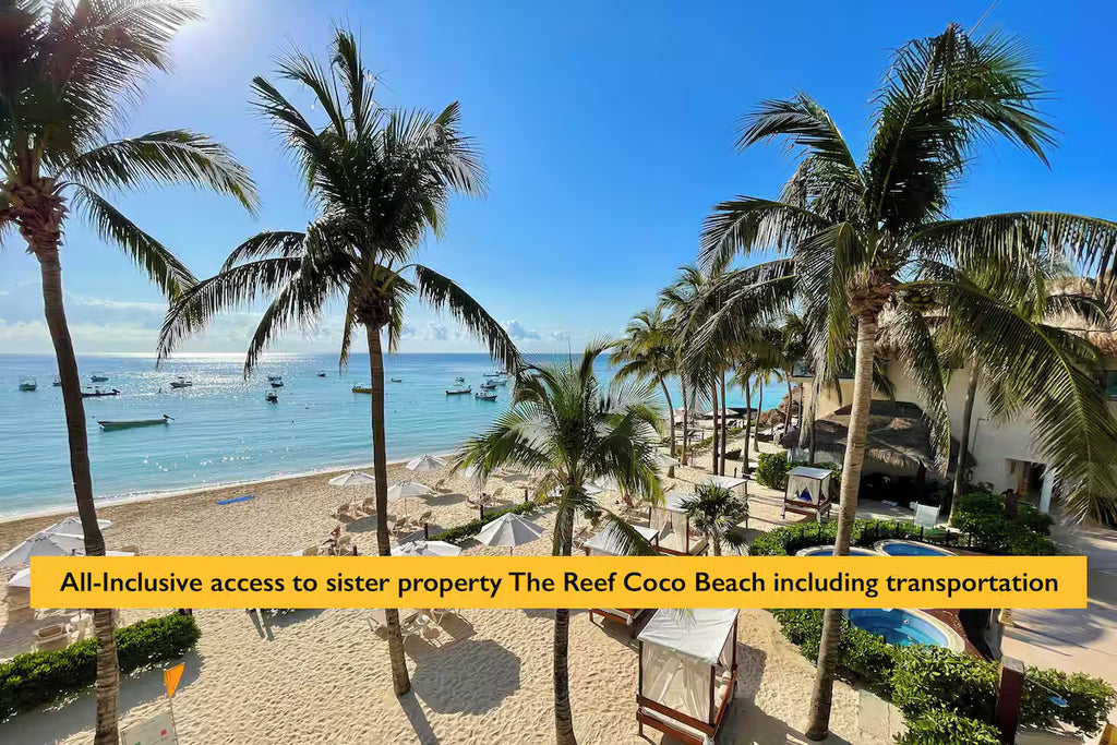 Lori's Curated Compass Digital Gift Card